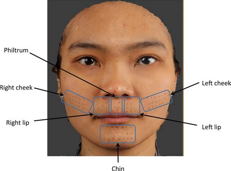 Atlas Anatomy & Alaine Cheeks 3some